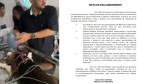 Procedimento em cão tinha ciência e autorização da UnP, afirma veterinário em nota