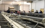 IndÃºstria de pescado inaugura frigorÃ­fico e deve gerar mais de 100 empregos em MossorÃ³