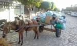 Moradores do Boa Vista contratam carroceiro para retirar lixo da rua