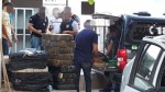 PolÃ­cia apreende mais de meia tonelada de maconha na zona rural de Upanema