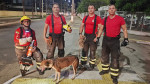 Bombeiros do RN realizam resgate de cachorro preso em rede de esgoto em Mossoró