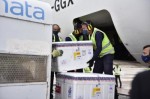 AviÃ£o com 30 mil de doses da vacina de Oxford acaba de chegar ao RN