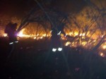 Patu: Bombeiros informam que maioria dos focos foram neutralizados na madrugada