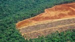 Desmatamento na Amazônia triplica no mês de março 