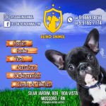 PromoÃ§Ãµes durante a semana do Pet Shop Reino Animal