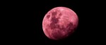 Superlua Rosa: fenômeno poderá ser visto na noite desta segunda-feira (26)